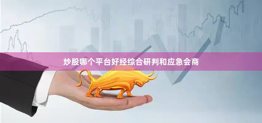 炒股哪个平台好经综合研判和应急会商