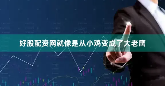 好股配资网就像是从小鸡变成了大老鹰