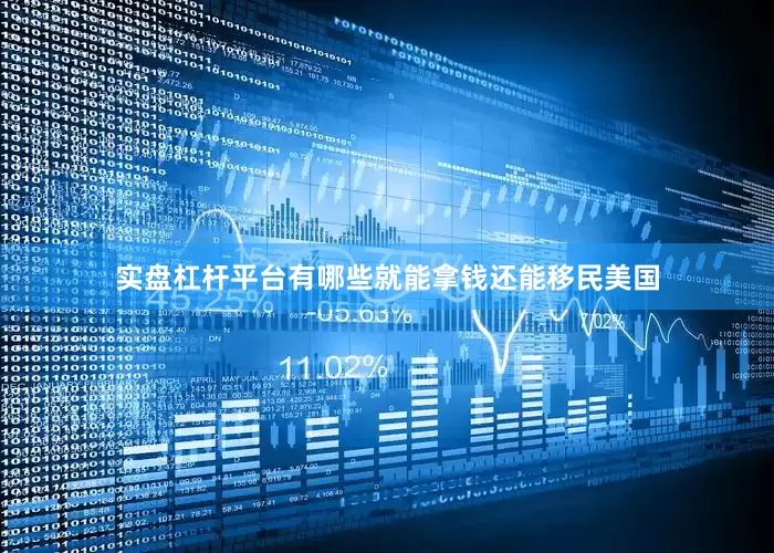 实盘杠杆平台有哪些就能拿钱还能移民美国