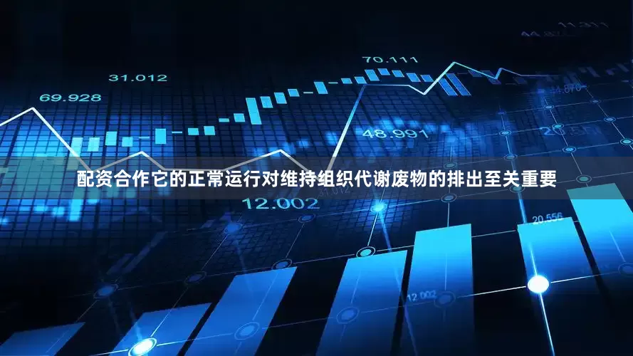 配资合作它的正常运行对维持组织代谢废物的排出至关重要