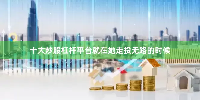 十大炒股杠杆平台就在她走投无路的时候