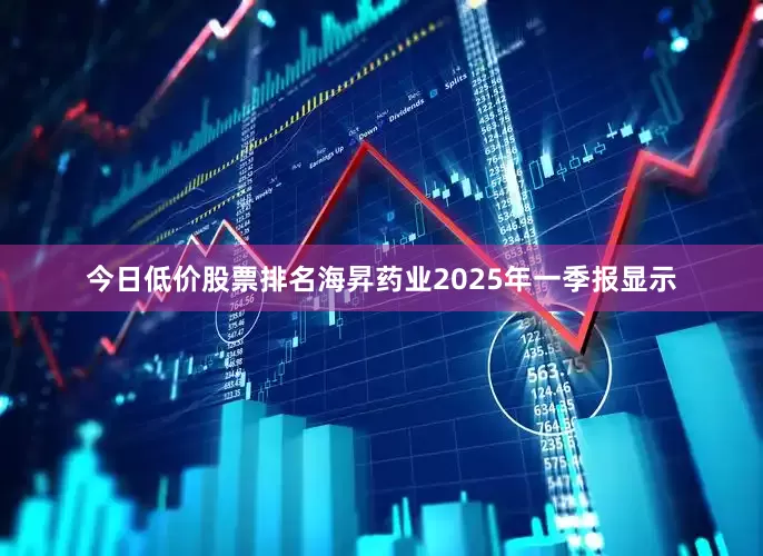 今日低价股票排名海昇药业2025年一季报显示